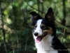 cIMG_5957.jpg