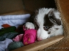 cIMG_1629