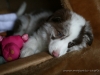 cIMG_1642