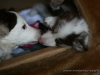 cIMG_1673