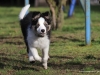 cimg_3917