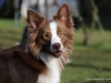 cimg_3965
