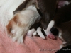cIMG_2088