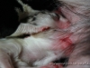 cIMG_2095