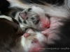 cIMG_2113