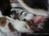 cIMG_2119