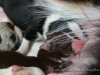 cIMG_2146