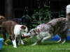 cimg_0577