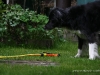 cimg_0583