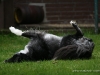 cimg_0597