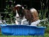 cimg_0713
