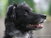 cimg_0757