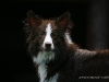 cimg_0853