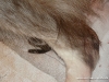 cdsc01896