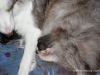 cimg_3381