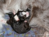 cimg_3384