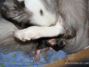 cimg_3389