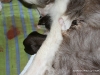 cimg_3392
