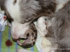 cimg_3394