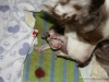cimg_3396