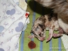 cimg_3397