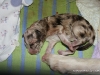 cimg_3399