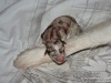 cimg_3408