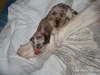 cimg_3410