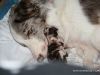 cimg_3414