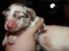 cimg_3444
