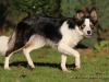 cIMG_3191
