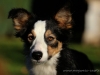 cIMG_3237