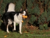 cIMG_3284