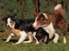 cIMG_3345