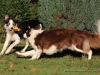 cIMG_3396