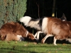 cIMG_3409