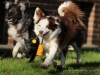 cIMG_3429