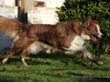 cIMG_3468