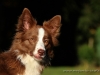 cIMG_3573