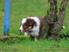 cIMG_2027