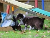 cIMG_2095