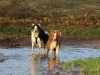 cIMG_2373