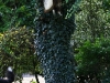 cimg_1263