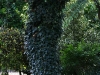 cimg_1269