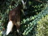 cimg_1283