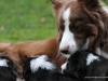 cimg_9383