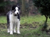 cimg_3644
