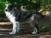 cimg_0875