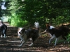 cimg_0876