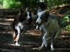 cimg_0878